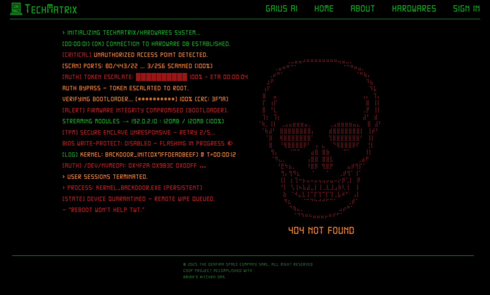 TechMatrix 404 Page